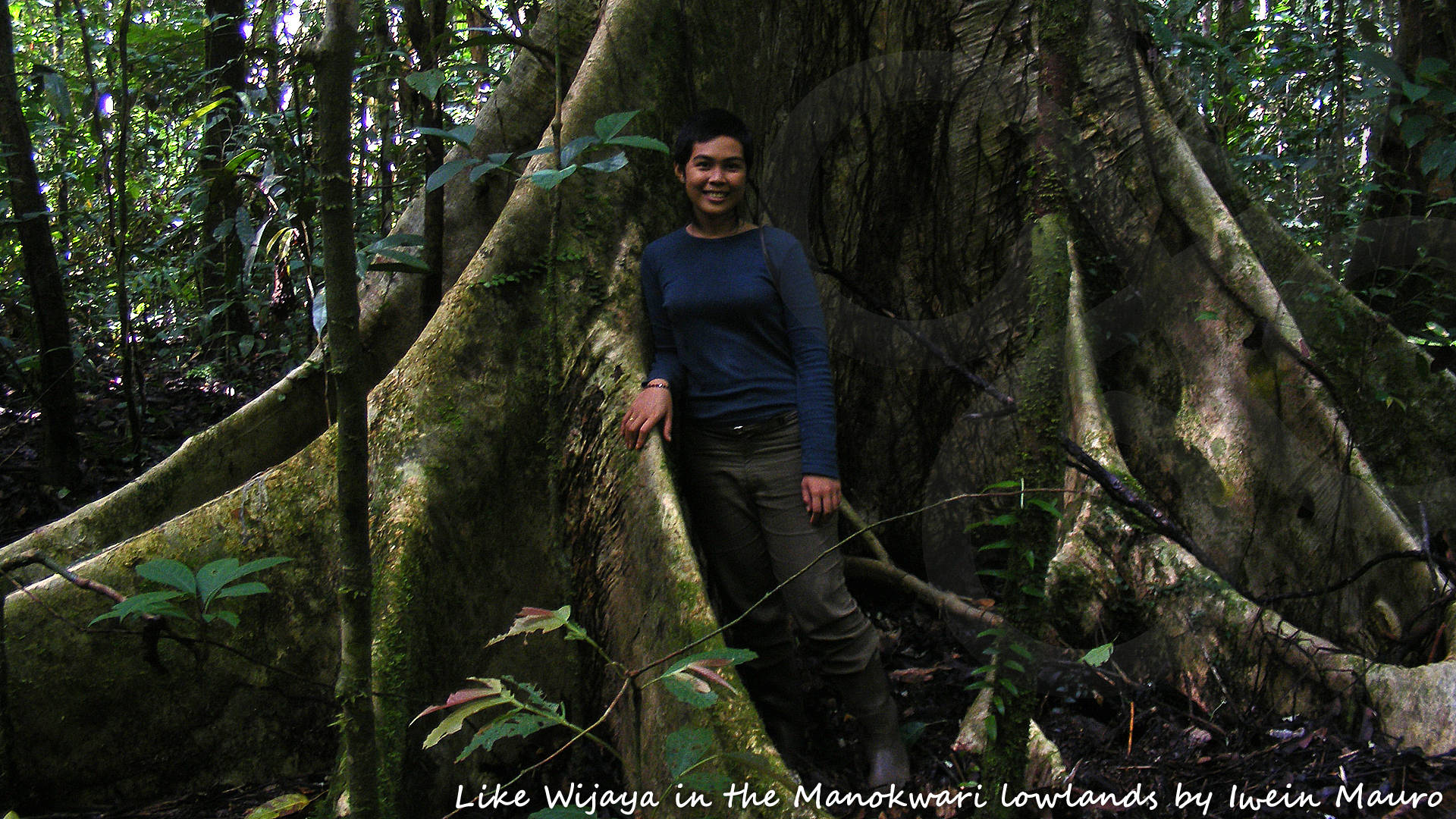When setting out on exploring the heartlands of West Papua one can hardly be in more caring or capable hands than those of Like Wijaya, founder and managing director of EKONEXION. Copyright &copy; Iwein Mauro